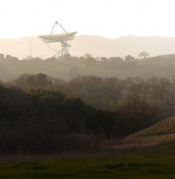 Stanford Dish